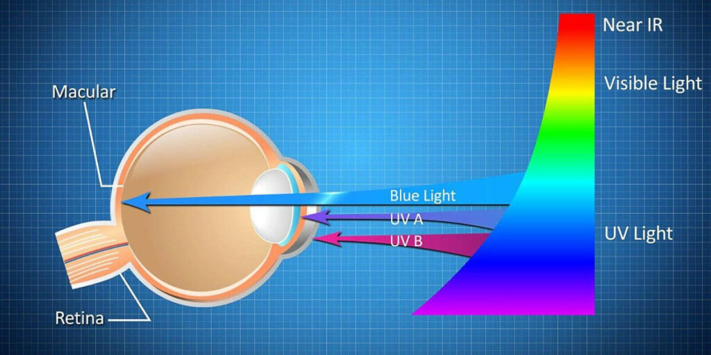 What is Blue Light and Why Does it Matter? - Blue Light Diagram - eyeflix.pk